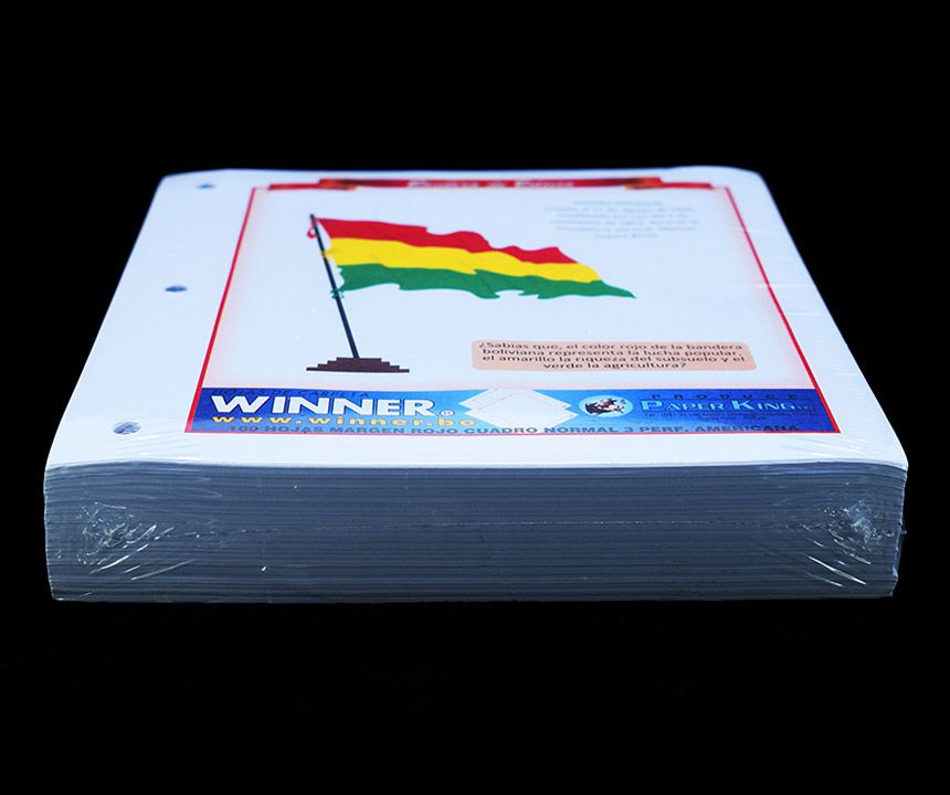 Hojas de carpeta Normal Winner 500h