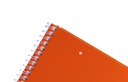Cuaderno anillado American Iris Carta 100h 10u