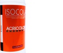 Pegamentos - Isocola liquida 250gr