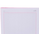 Cuaderno anillado con A/Plasticas Carta Lider 100h 10u