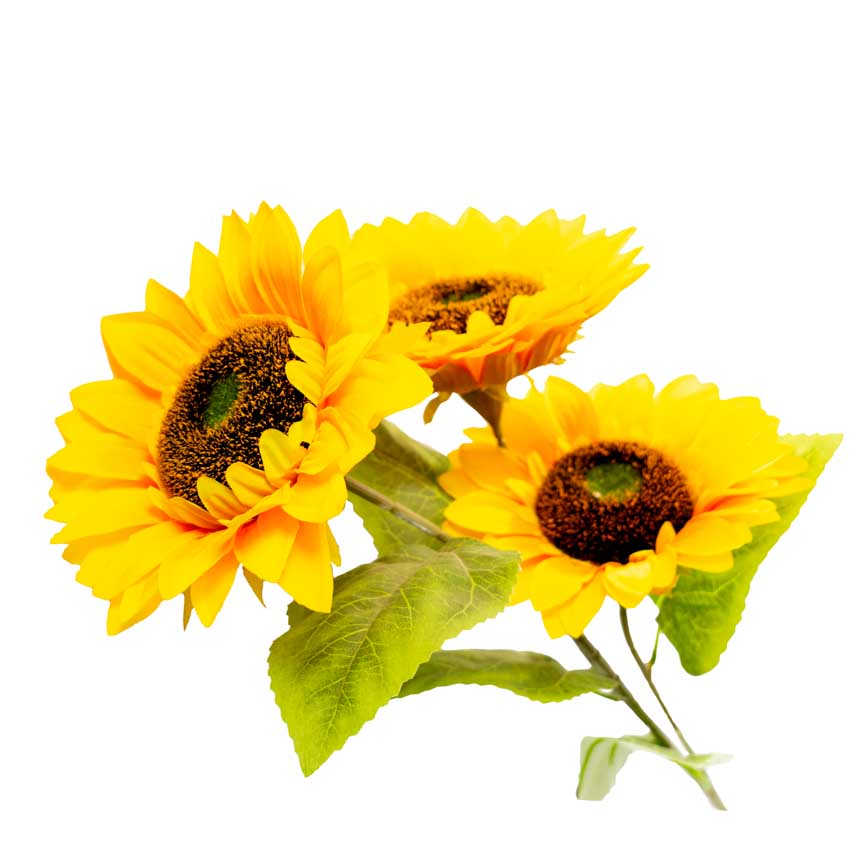 Flor - ramo de 3 girasoles, largo 93 cm, 1 corola 17 cm y 2 corolas de 15cm