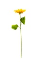 Flor - Girasol individual tallo gruezo, largo 64 cm, corola 17 cm