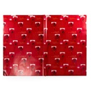 Papel regalo plastico GRANDE 70x100CM