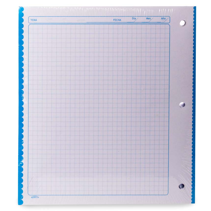 Hojas de carpeta RODYM 5mm de colores 500h