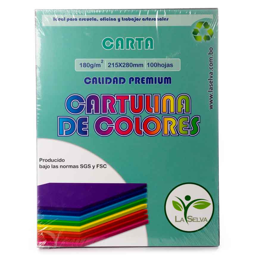 Cartulina de 10 colores intensos de 180gr. 100h CARTA