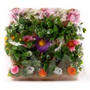 Maqueta macetas de flores 25pcs (Verificar no tiene la selva)