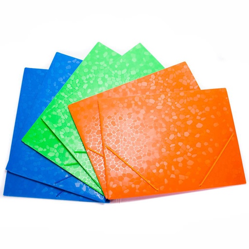 Folder Plastico con liga CARTA