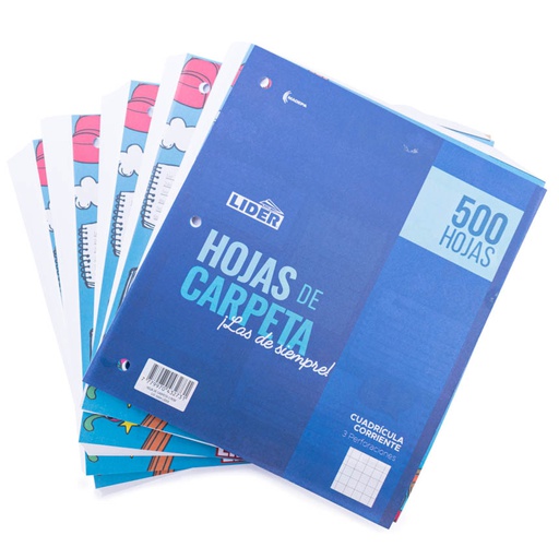 Hojas de carpeta cuadro normal Lider 500h