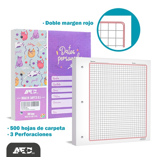 Hojas de carpeta cuadro normal ABC 500h